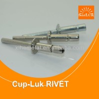 Stainless Steel Monobolt Rivets/Waterproof Structrual rivets