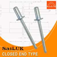 Closed End Type Steel Button Head Huck rivet